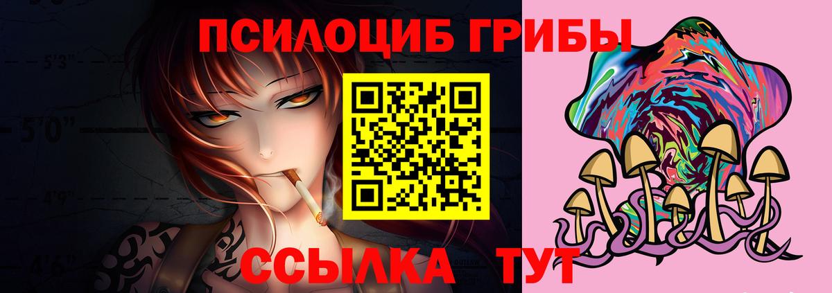 Псилоцибиновые грибы Cubensis Советская Гавань
